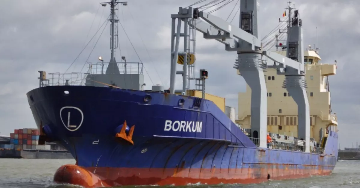 Imagen de archivo del carguero 'Borkum', barco acusado de transportar armas para Israel y que hizo escala en el Puerto de Las Palmas. / VESSELFINDER