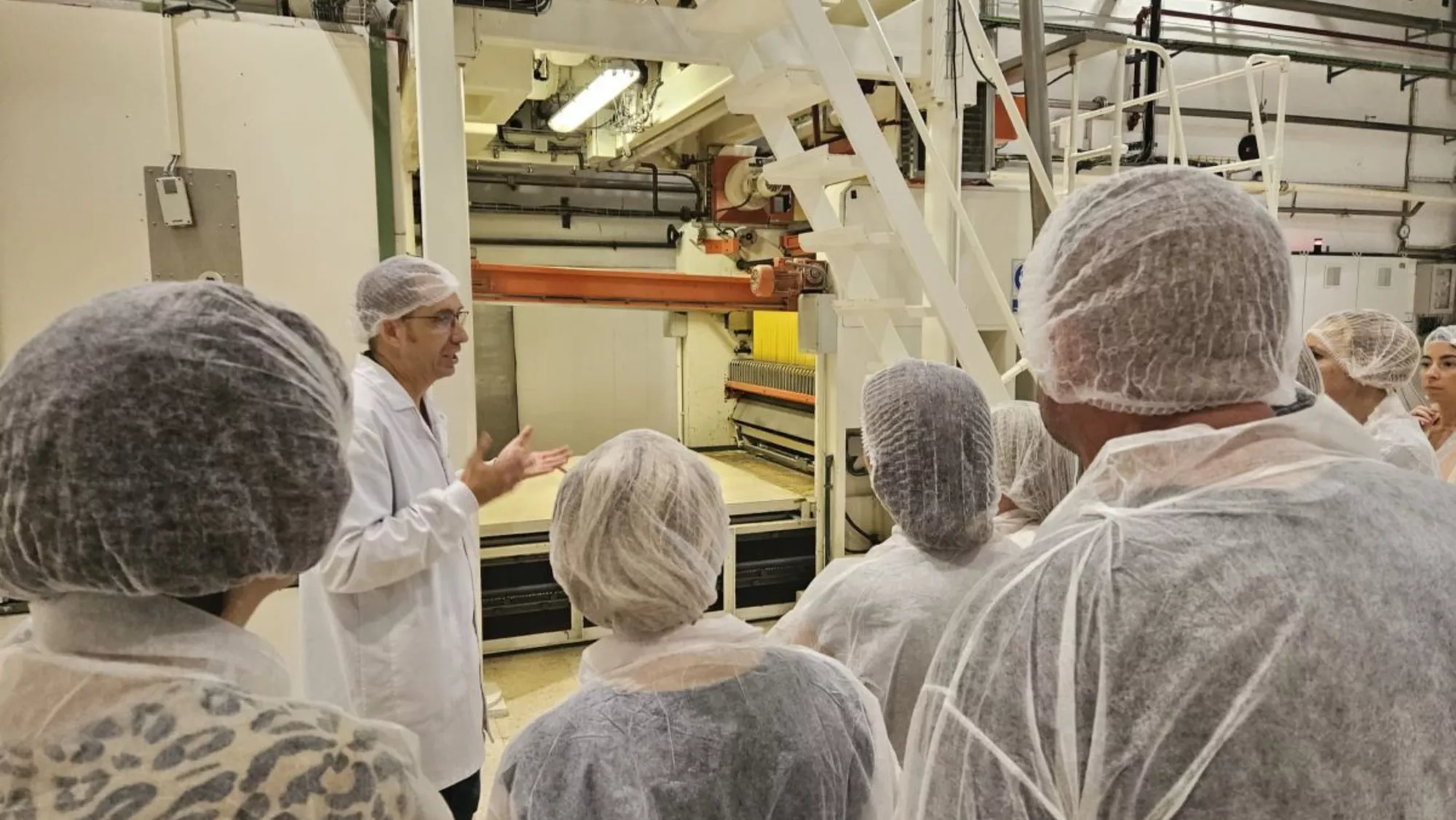 Fabrica de Gallo./ SERVIMEDIA