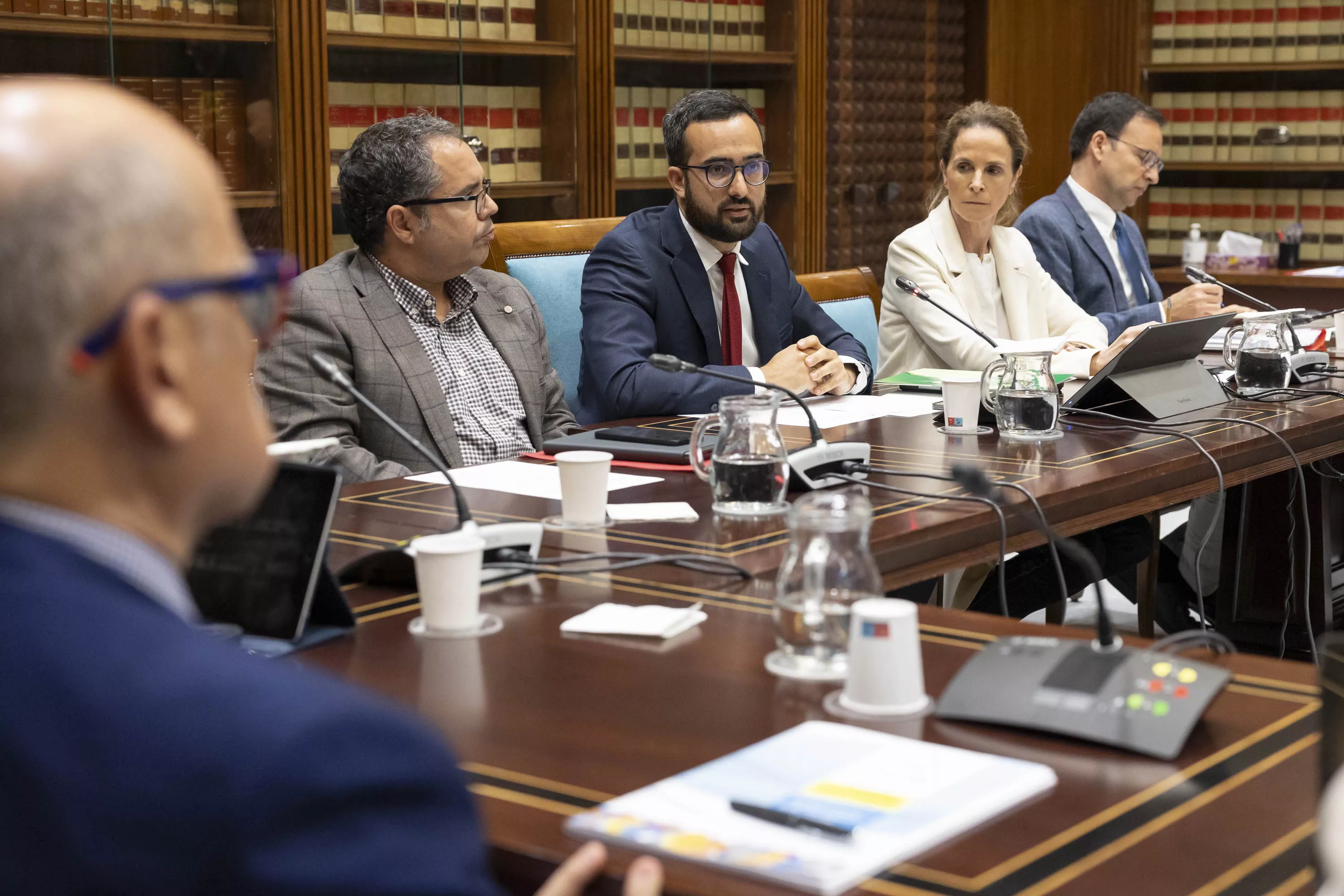 Los diputados Raúl Acosta (c), con Gustavo Santana (2i) y Luz Reverón conforman la mesa que preside la Comisión de investigación de compra de material sanitario. / MIGUEL BARRETO-EFE