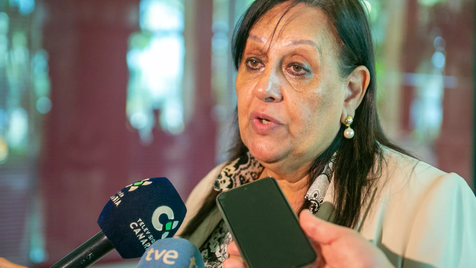 La fiscal superior de Canarias, María Farnés Martínez. / EFE - ADRIEL PERDOMO
