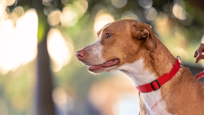 Foto de Andrés / @PLANETDROGO Foto de Andrés / @PLANETDROGO