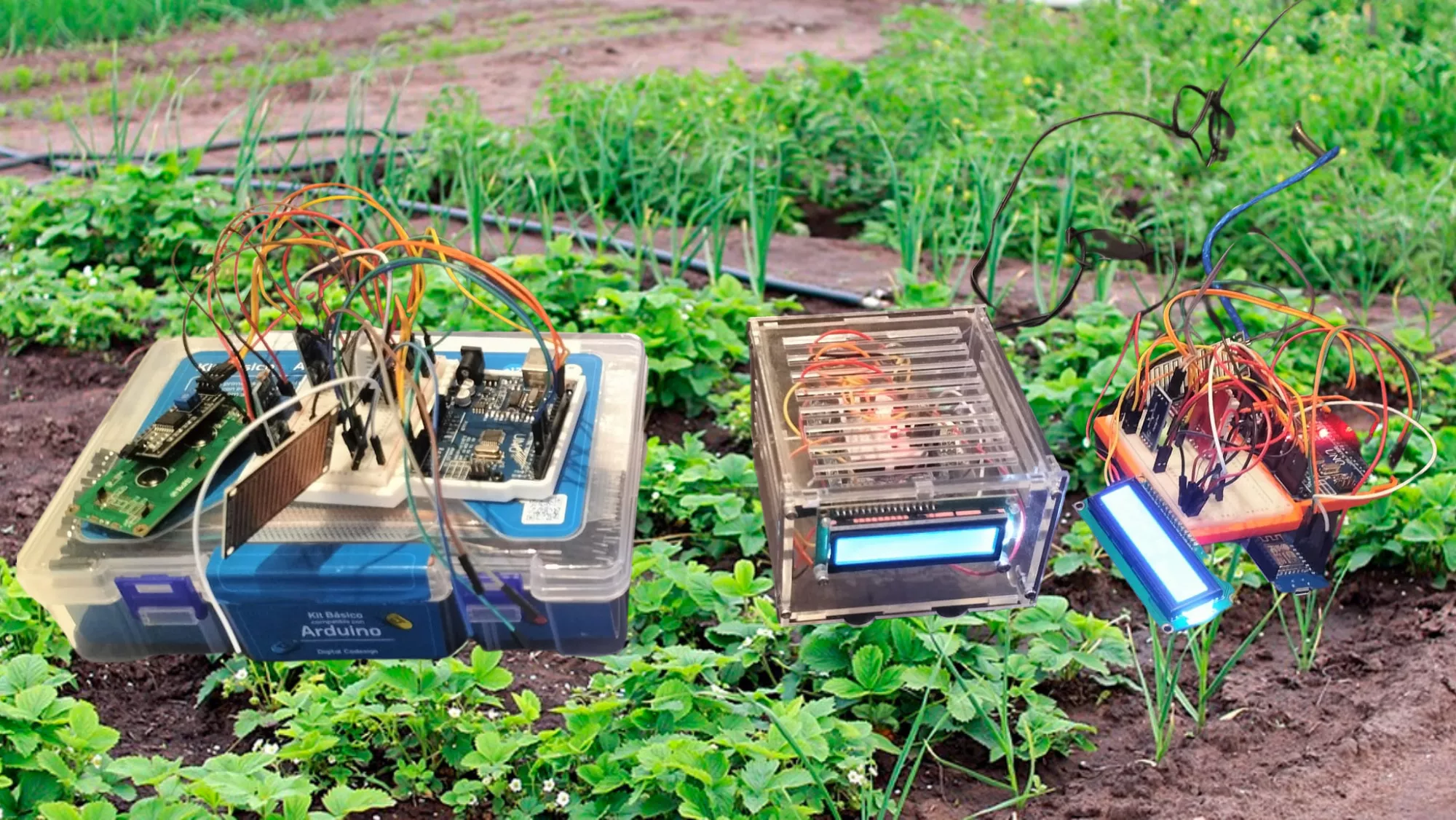 Invento de unos alumnos del IES Luis Diego Cuscoy para maximizar la recolecta de su huerto escolar./ AH