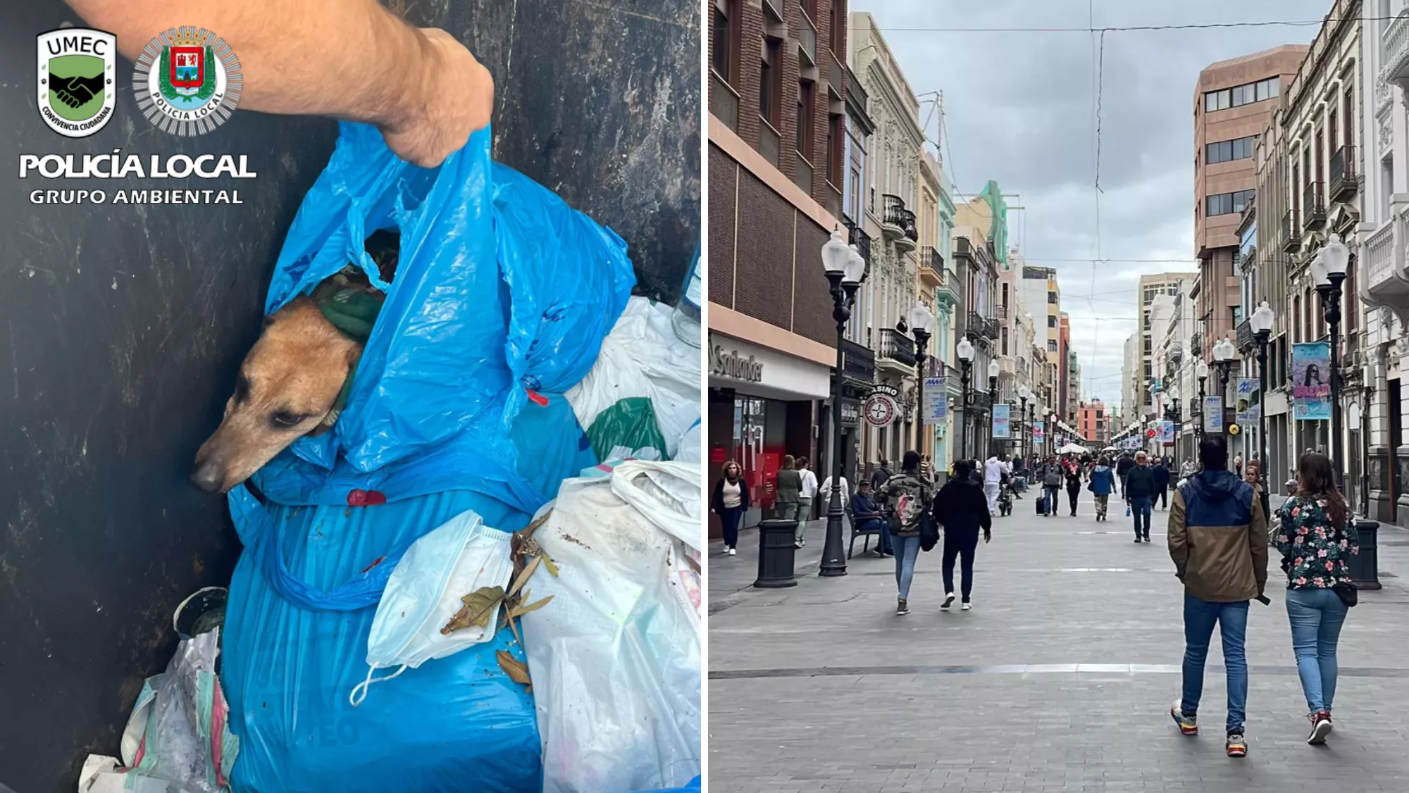 Los agentes investigan a una mujer como autora de delito de abandono animal POLICÍA LOCAL