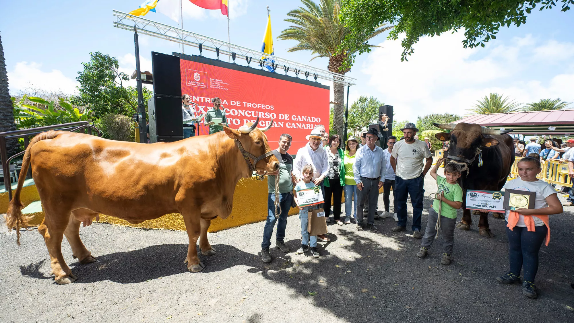 Entrega de trofeos del Concurso de Ganado durante la feria / CABILDO DE GRAN CANARIA