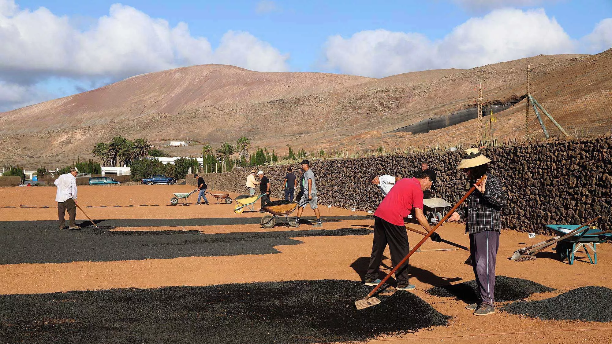 Imagen de plantación de semillas / CABILDO DE LANZAROTE
