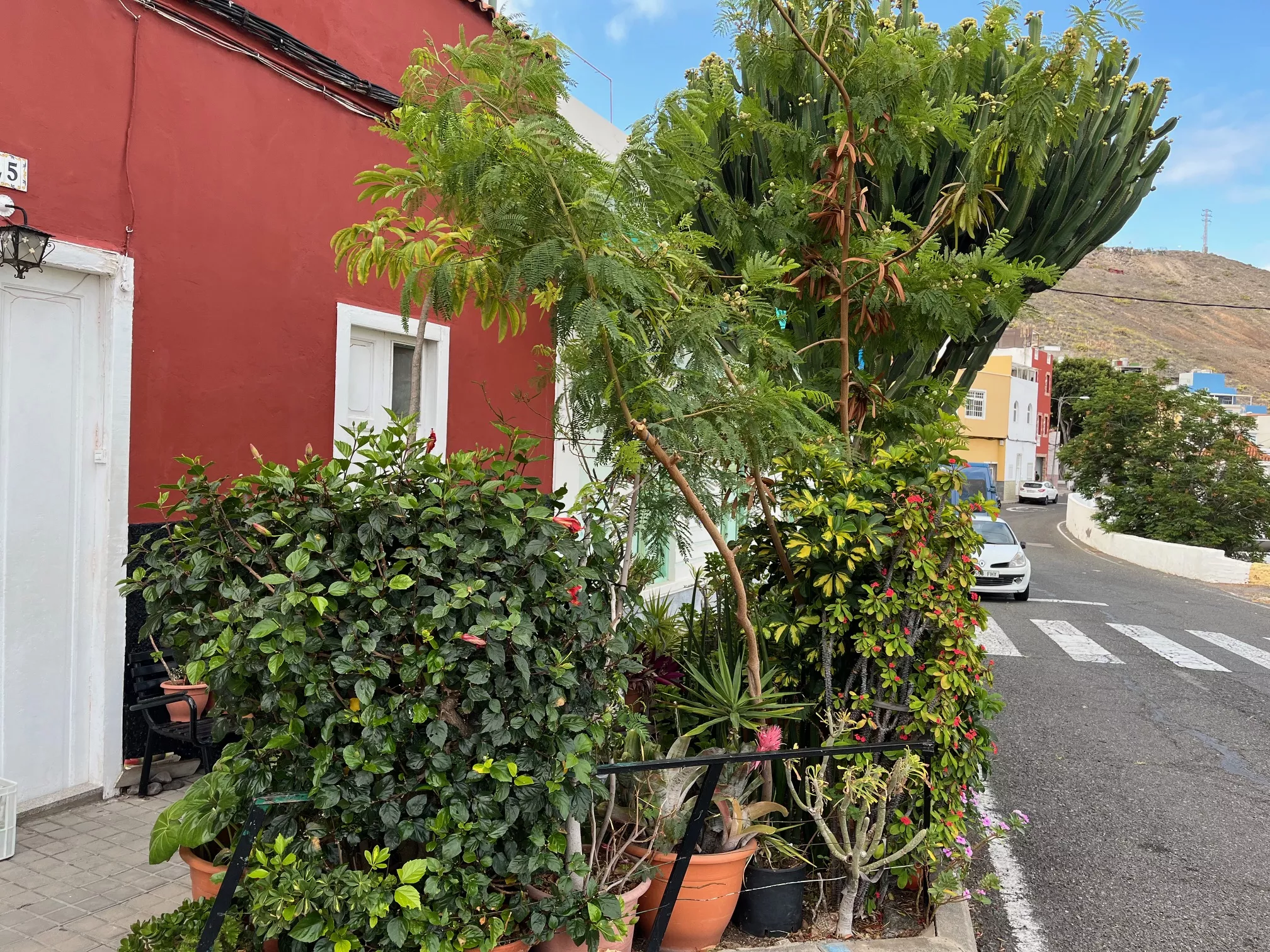 Jardín improvisado con macetas, árboles y flores en La Matula, en Las Palmas de Gran Canaria, el 29 de mayo de 2024
