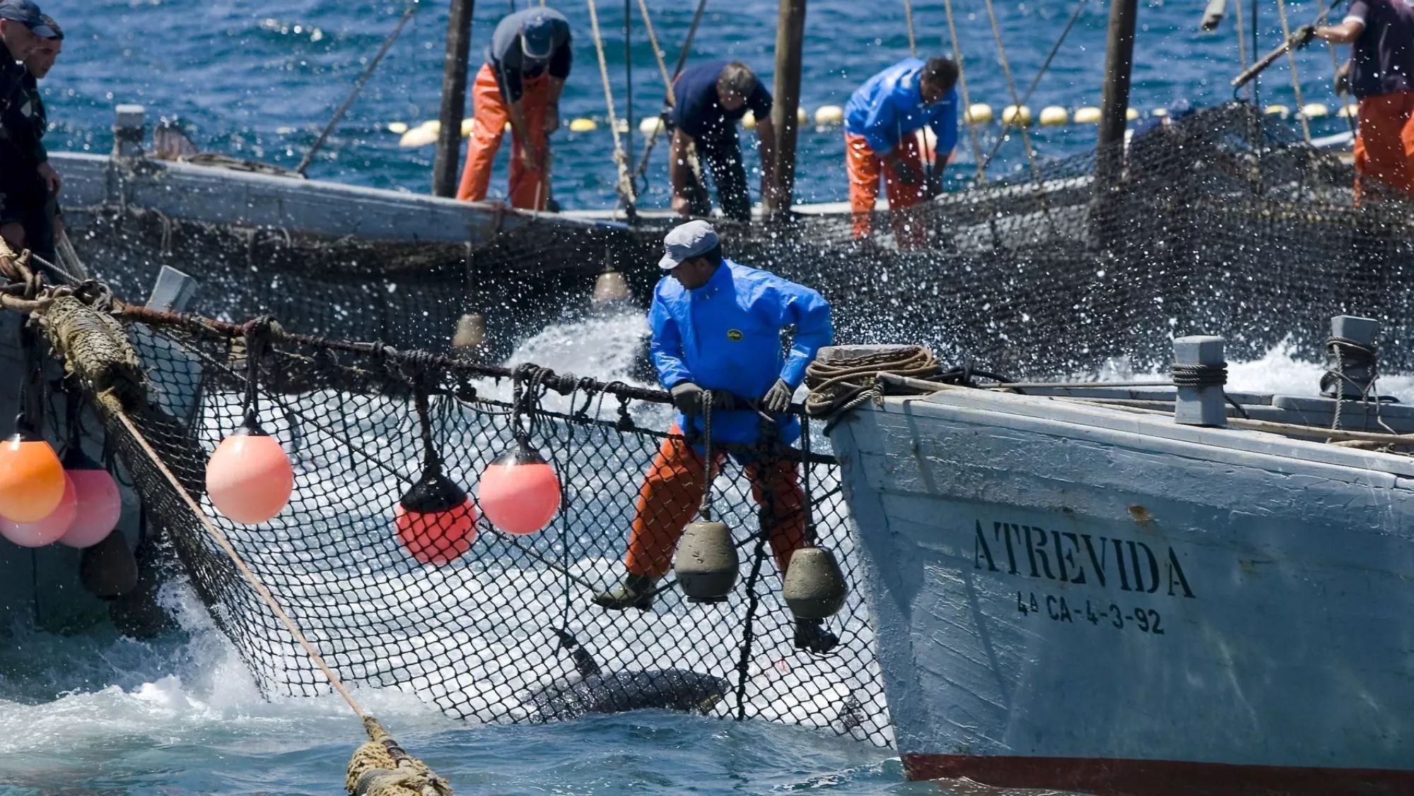 Imagen de un pescador / EFE
