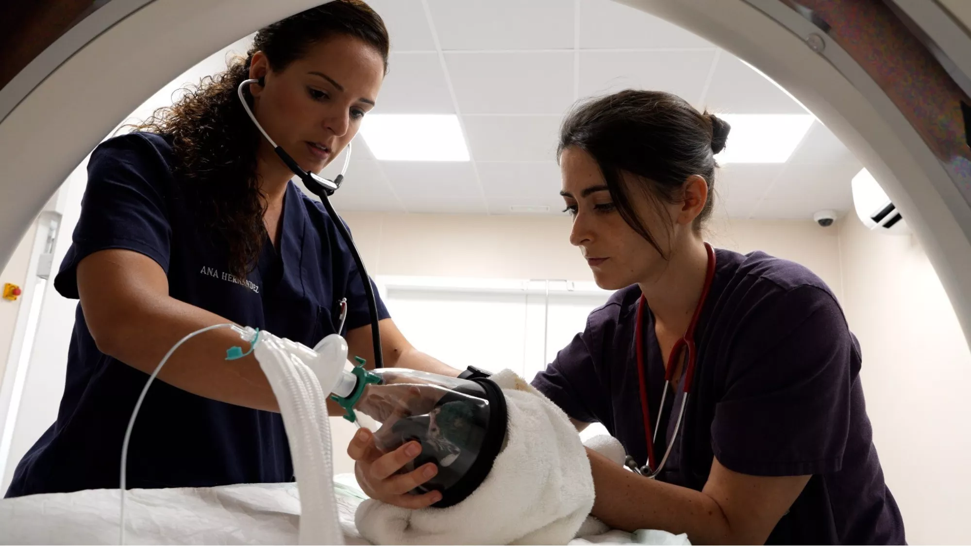 Dos trabajadoras de Loro Parque Fundación / LORO PARQUE