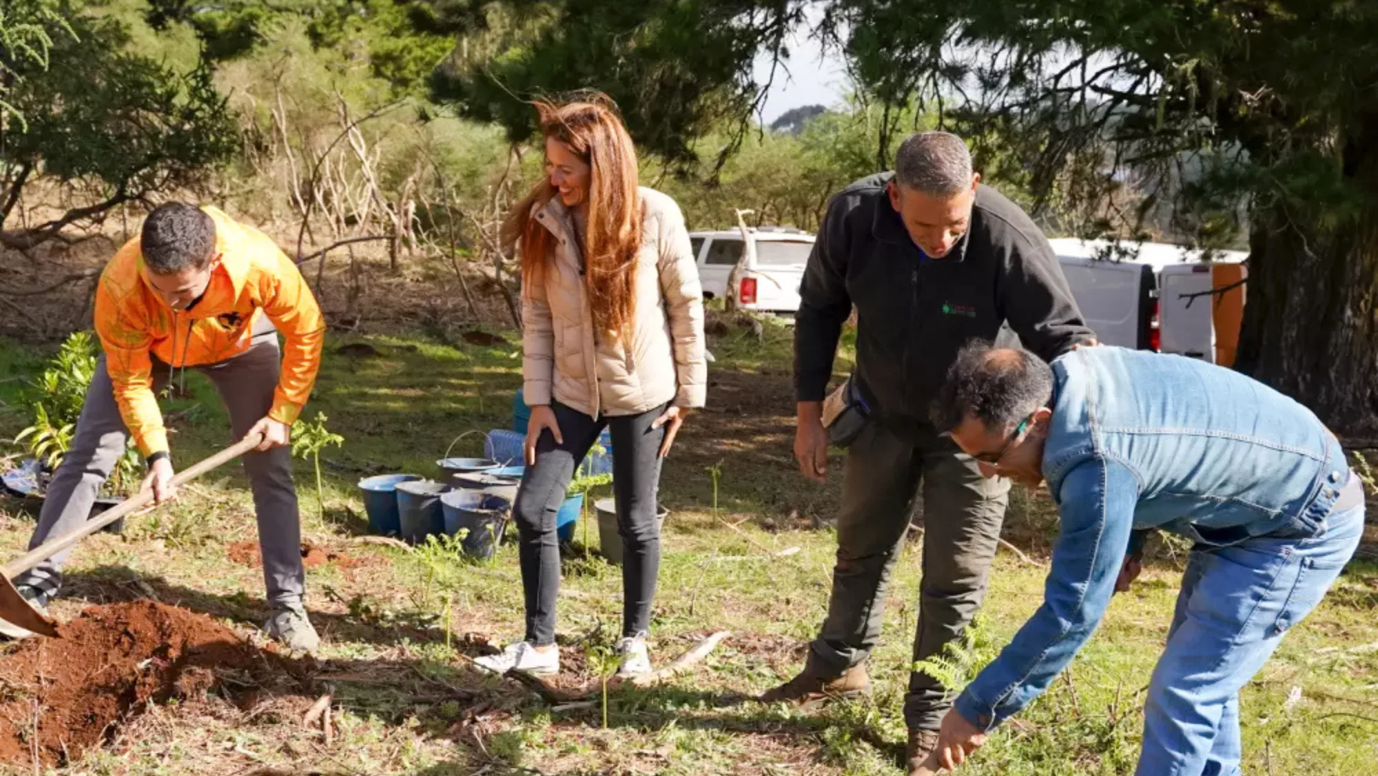 Imagen del proyecto / GRANCA LIVE FEST