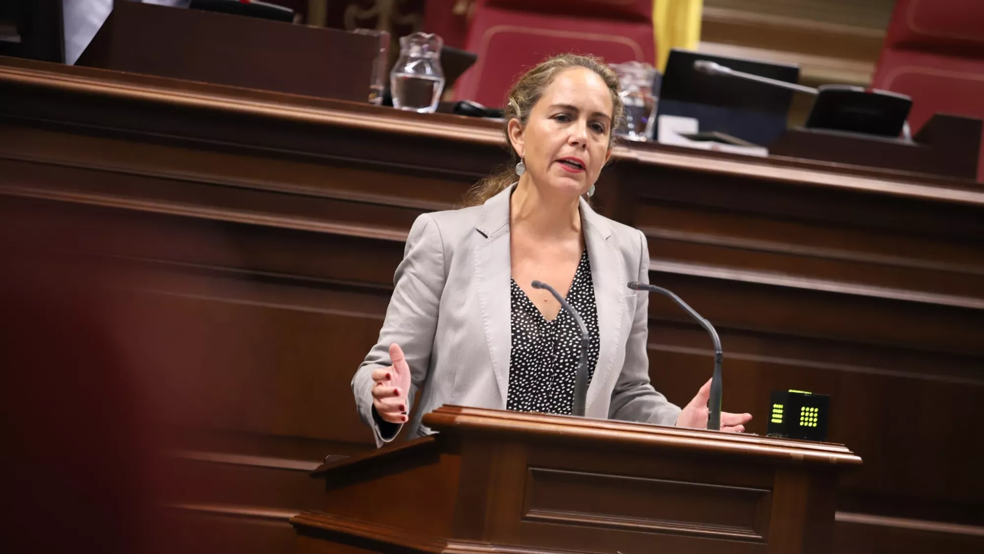 Paula Jover, diputada de Vox en el Parlamento de Canarias. / AH