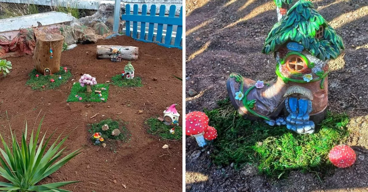 Montaje del Jardín Mágico de San Andrés / CEDIDAS