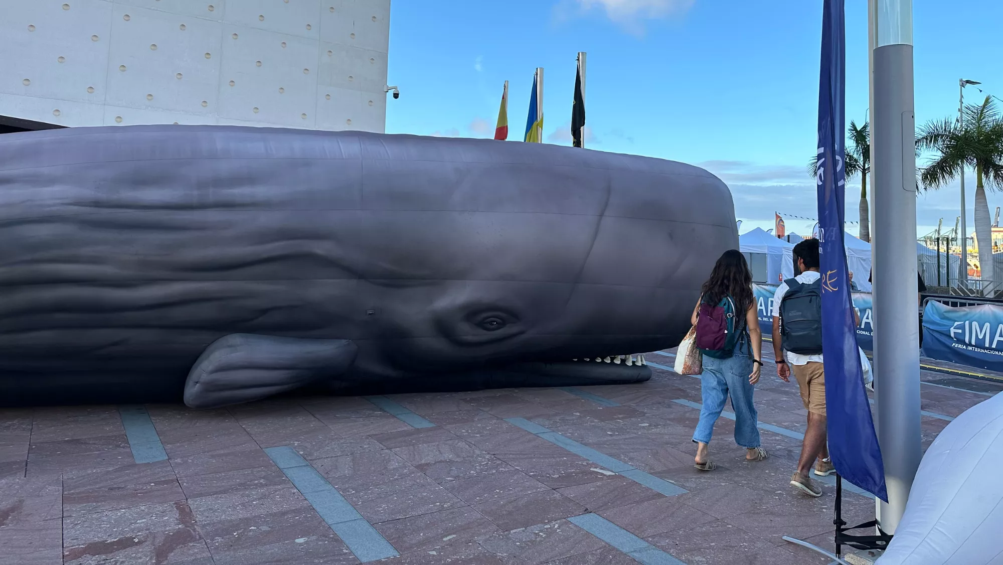 Recreación del cachalote en la exposición / ATLÁNTICO HOY - MARCOS MORENO