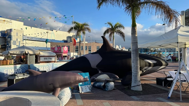 Imagen de los delfines y la orca en la exposición / ATLÁNTICO HOY - MARCOS MORENO Imagen de los delfines y la orca en la exposición / ATLÁNTICO HOY - MARCOS MORENO