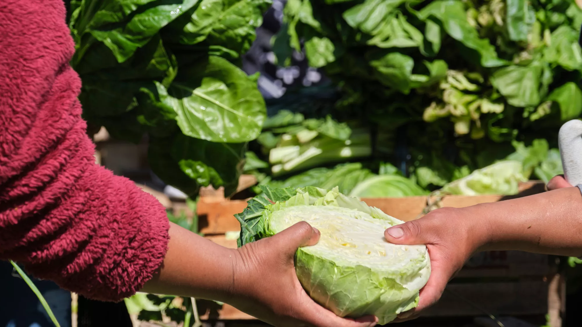 Imagen de verdura ecológica en un mercadillo / AH