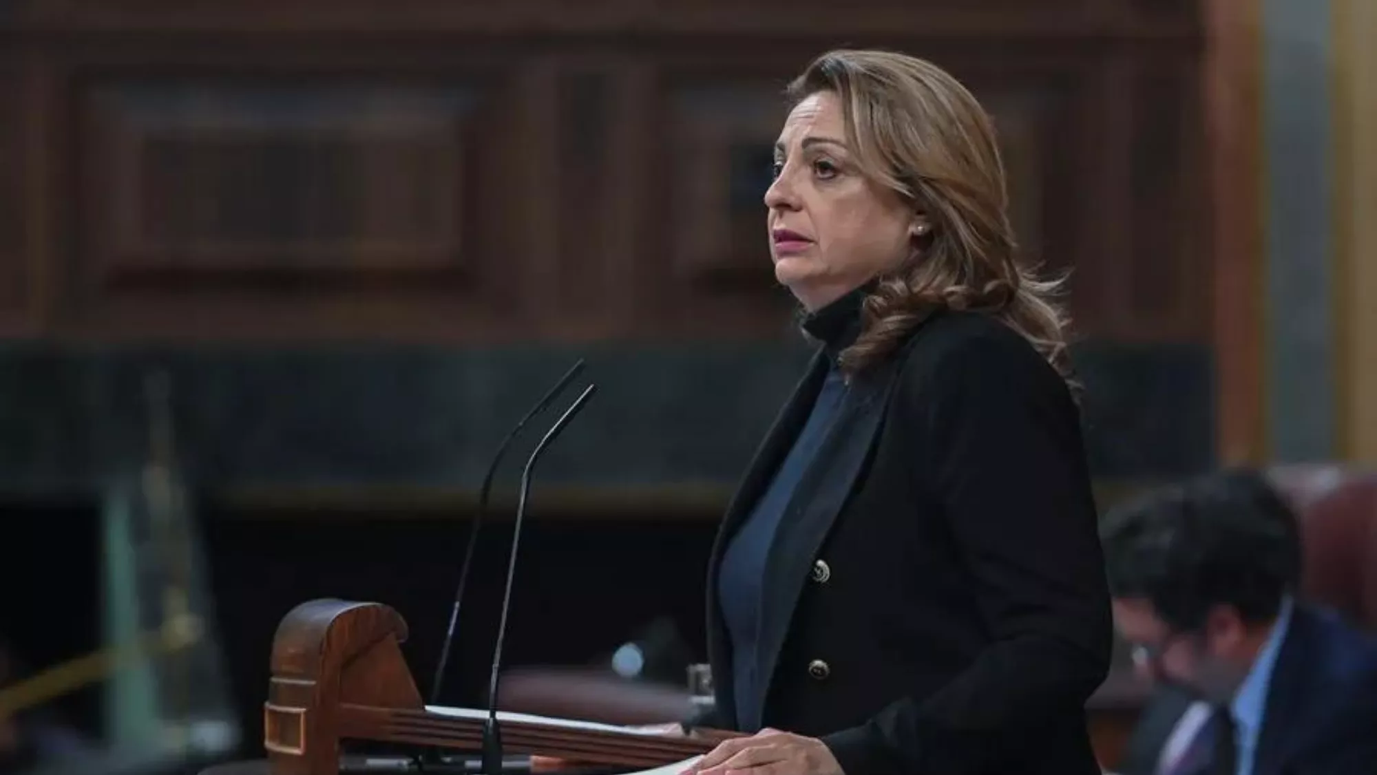 Cristina Valido en el Congreso de los Diputados. / EFE - FERNANDO VILLAR
