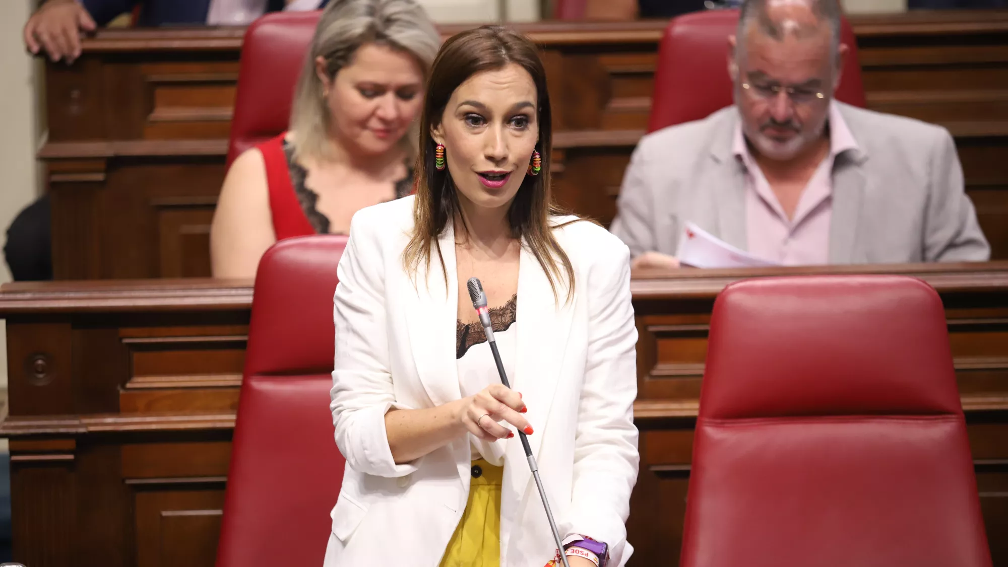Presidenta del Grupo Parlamentario Socialista, Nira Fierro / PSOE