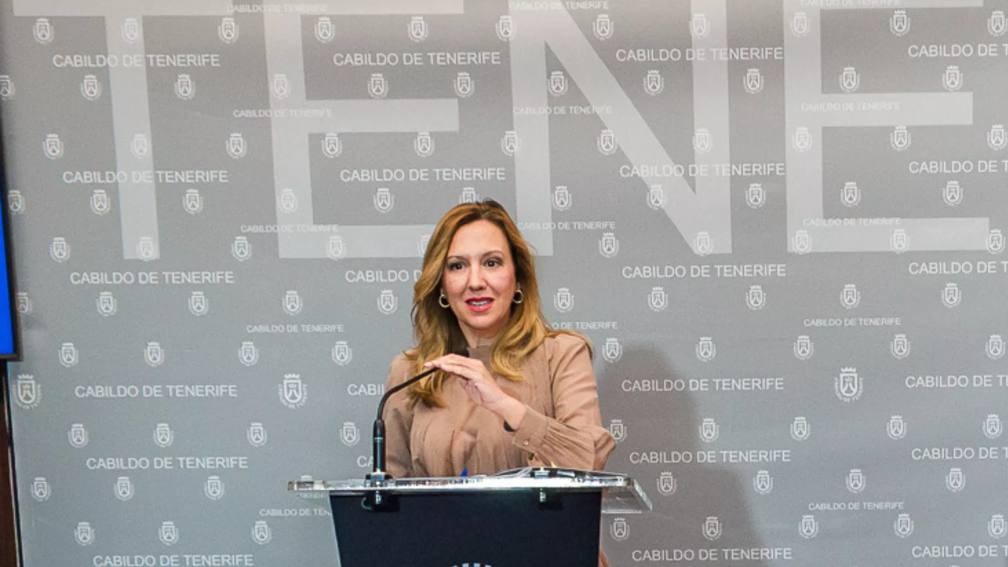 La presidenta del Cabildo de Tenerife, Rosa Dávila. / CABILDO DE TENERIFE