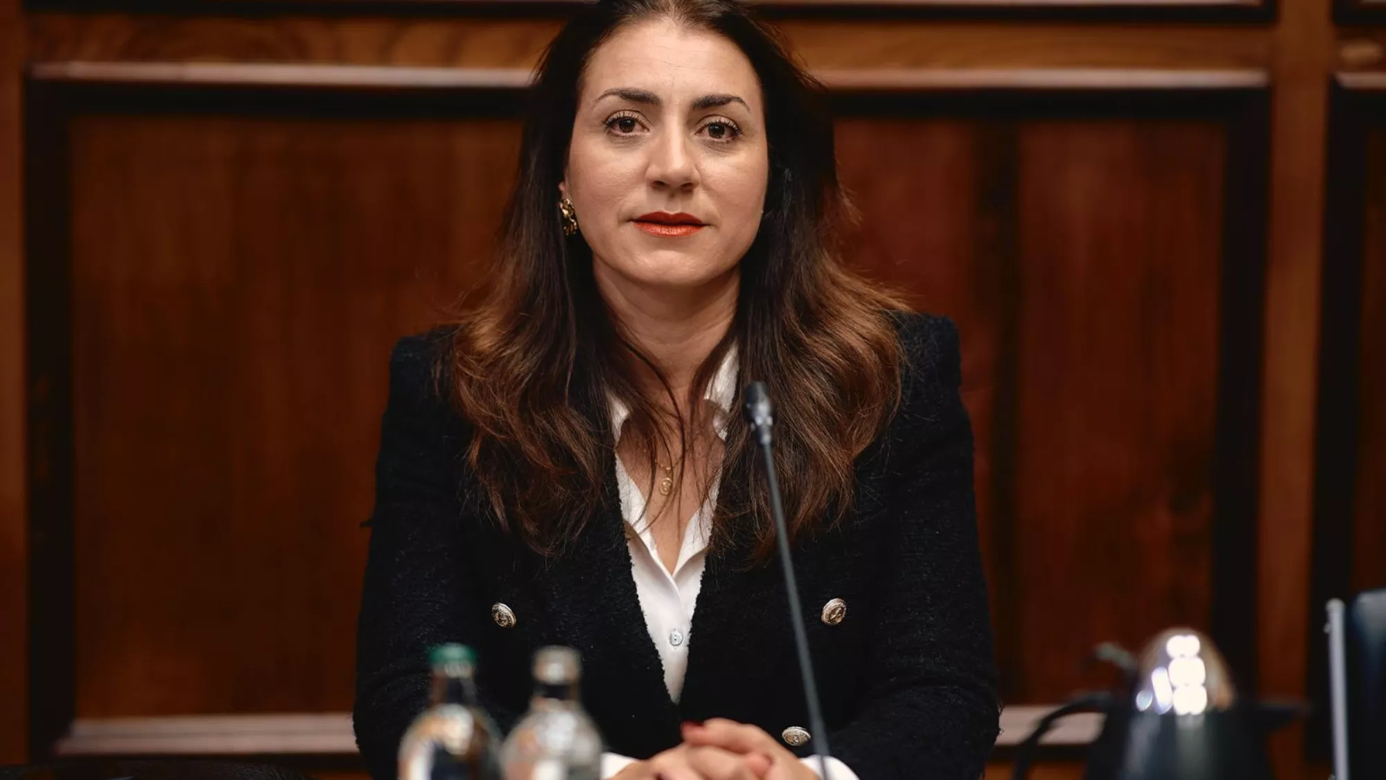 Vidina Cabrera en el pleno del Cabildo de Gran Canaria / COALICIÓN CANARIA Vidina Cabrera en el pleno del Cabildo de Gran Canaria / COALICIÓN CANARIA