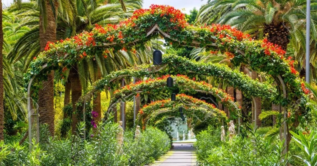 El Parque García Sanabria es uno de los lugares emblemáticos de Santa Cruz de Tenerife que destacó el periódico The Guardian./ AH.
