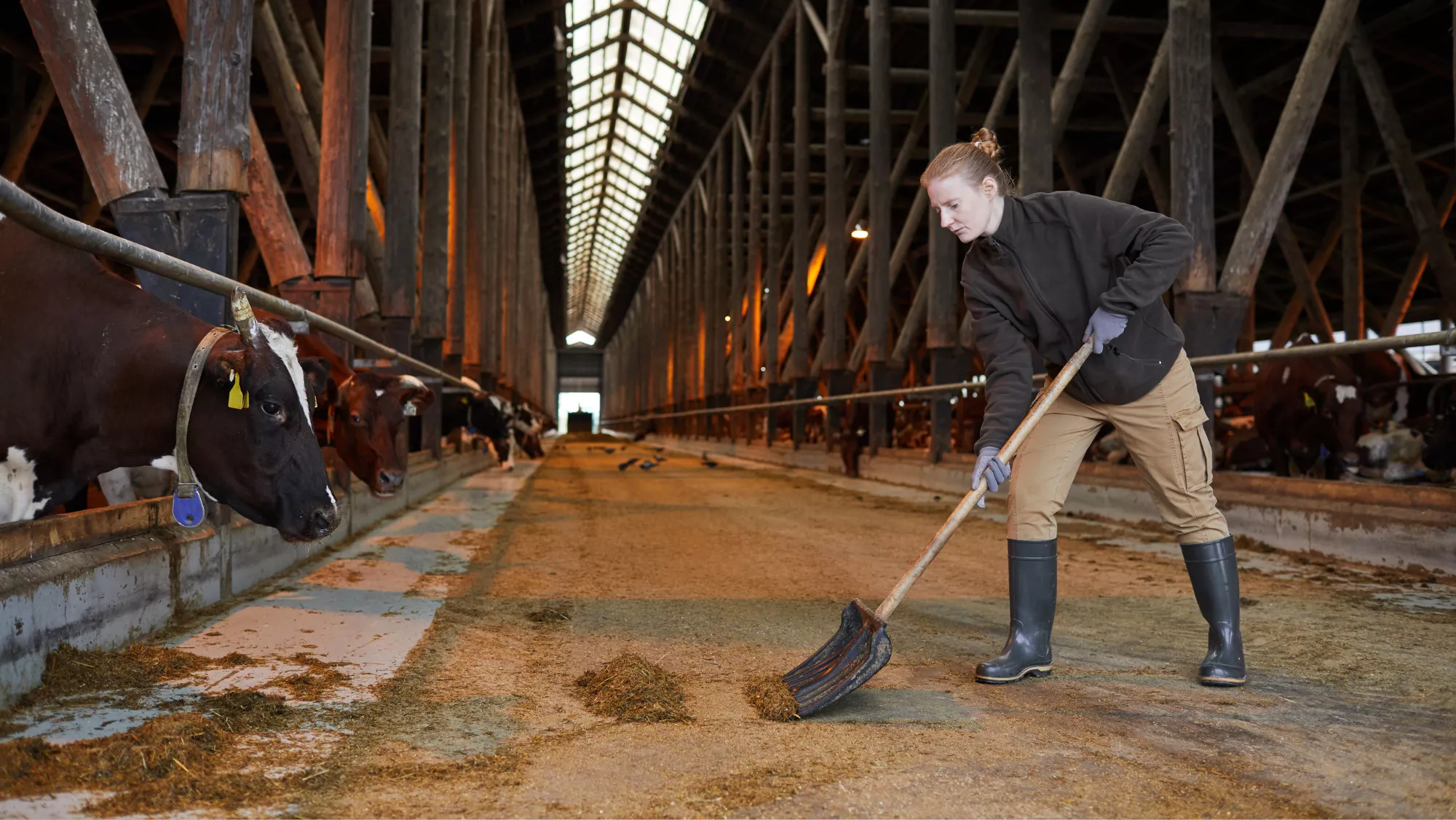 Joven ganadera.  CANVA