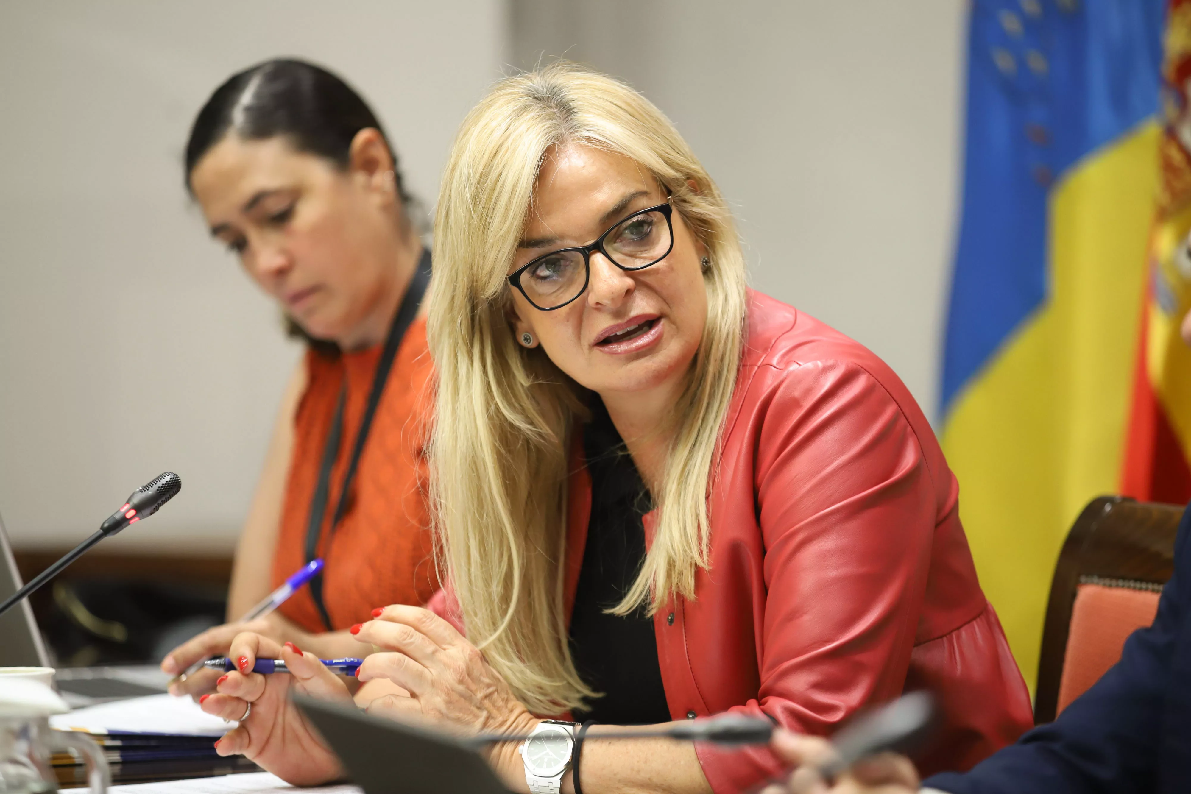 La consejera de Sanidad, Esther Monzón, en la comparecencia de Sanidad del Parlamento de Canarias en la que ha informado de las agresiones a personal sanitario. / EFE La consejera de Sanidad, Esther Monzón, en la comparecencia de Sanidad del Parlamento de Canarias en la que ha informado de las agresiones a personal sanitario. / EFE