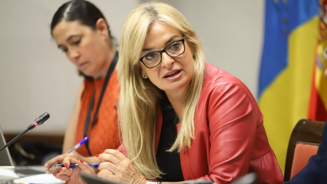 La consejera de Sanidad, Esther Monzón, en la comparecencia de Sanidad del Parlamento de Canarias en la que ha informado de las agresiones a personal sanitario. / EFE La consejera de Sanidad, Esther Monzón, en la comparecencia de Sanidad del Parlamento de Canarias en la que ha informado de las agresiones a personal sanitario. / EFE