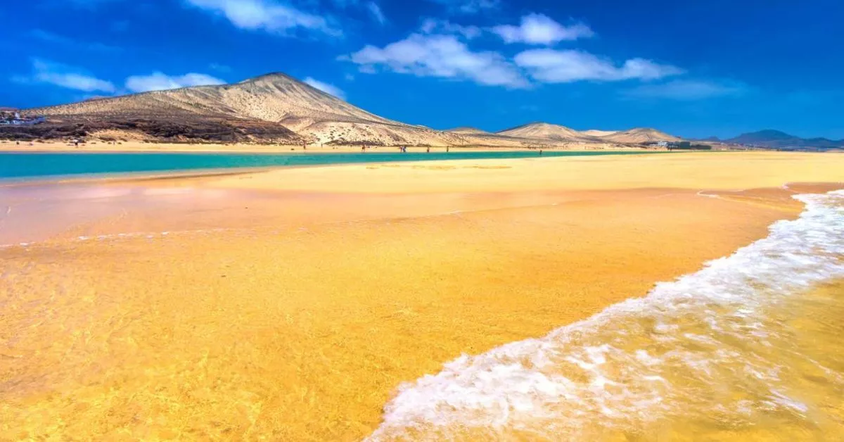 Los diez kilómetros de playas que abarca Sotavento se dividen en cinco tramos que conforman uno de los mayores arenales de Canarias./ ISLAS CANARIAS.