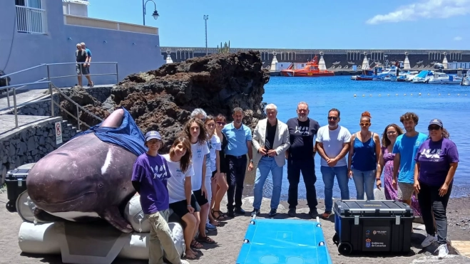 Simulacro de varamiento de cetáceos / LORO PARQUE Simulacro de varamiento de cetáceos / LORO PARQUE