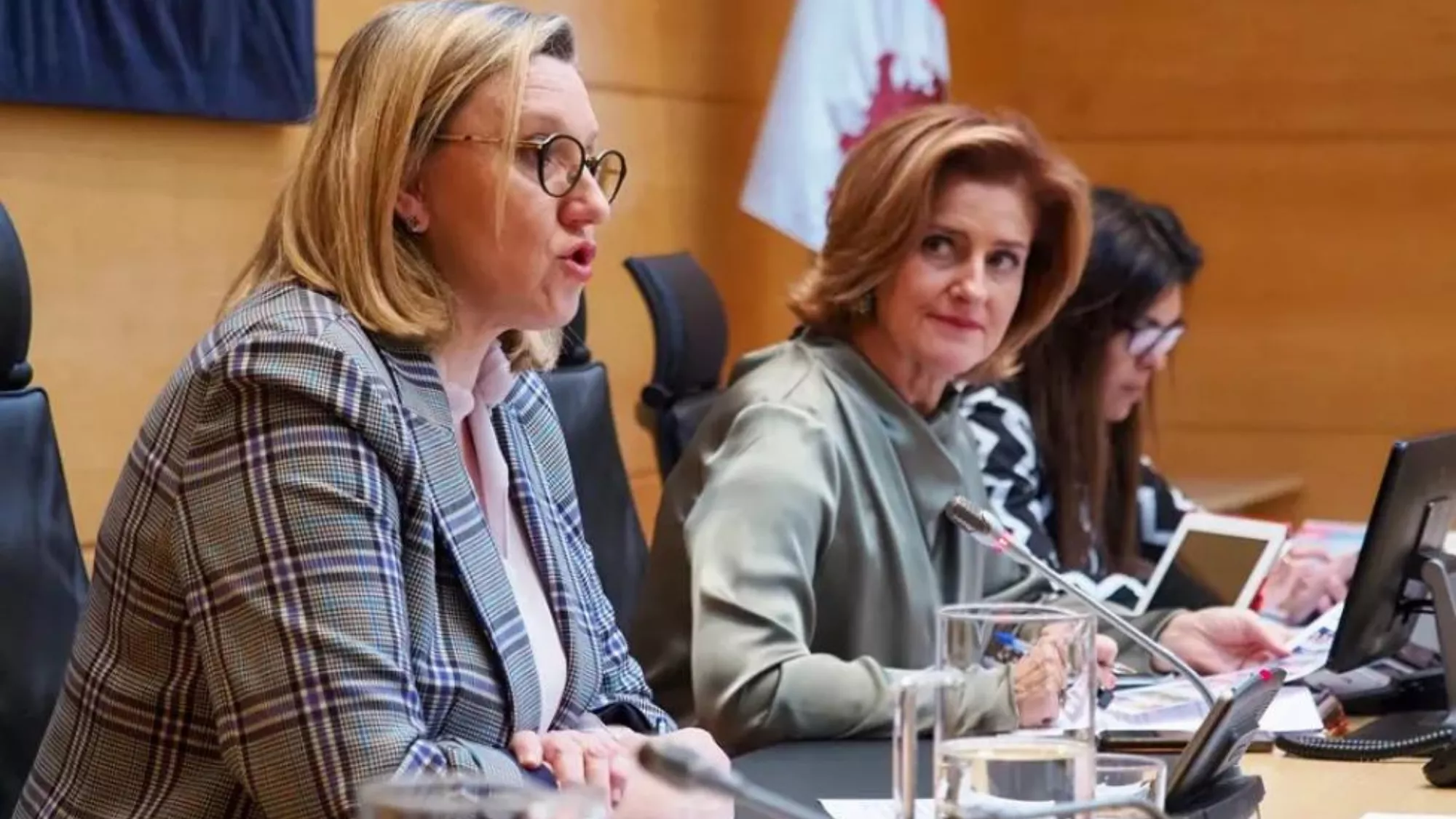 La consejera de Familia e Igualdad de Oportunidades de Castilla y León, Isabel Blanco / EFE