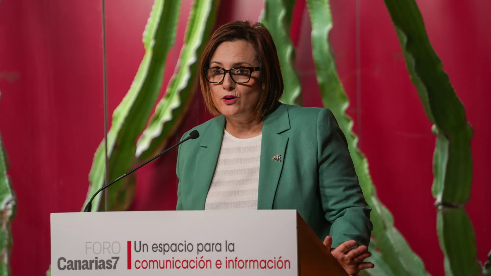 La consejera Candelaria Delgado durante el Foro ‘Nosotras acogemos, ¿tú podrías?’ / GOBIERNO DE CANARIAS