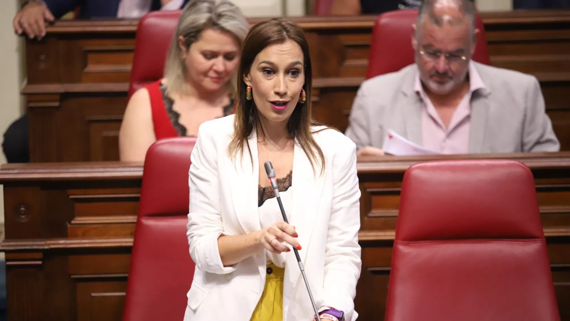 Nira Fierro, presidenta del Grupo Parlamentario Socialista./ PSOE