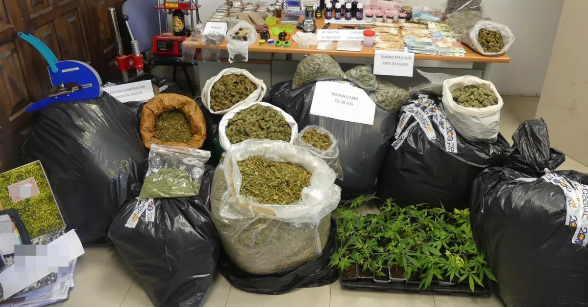 Cerca de 80 kilos de marihuana y otras drogas incautadas en Los Realejos a tres detenidos por tráfico./ CNP