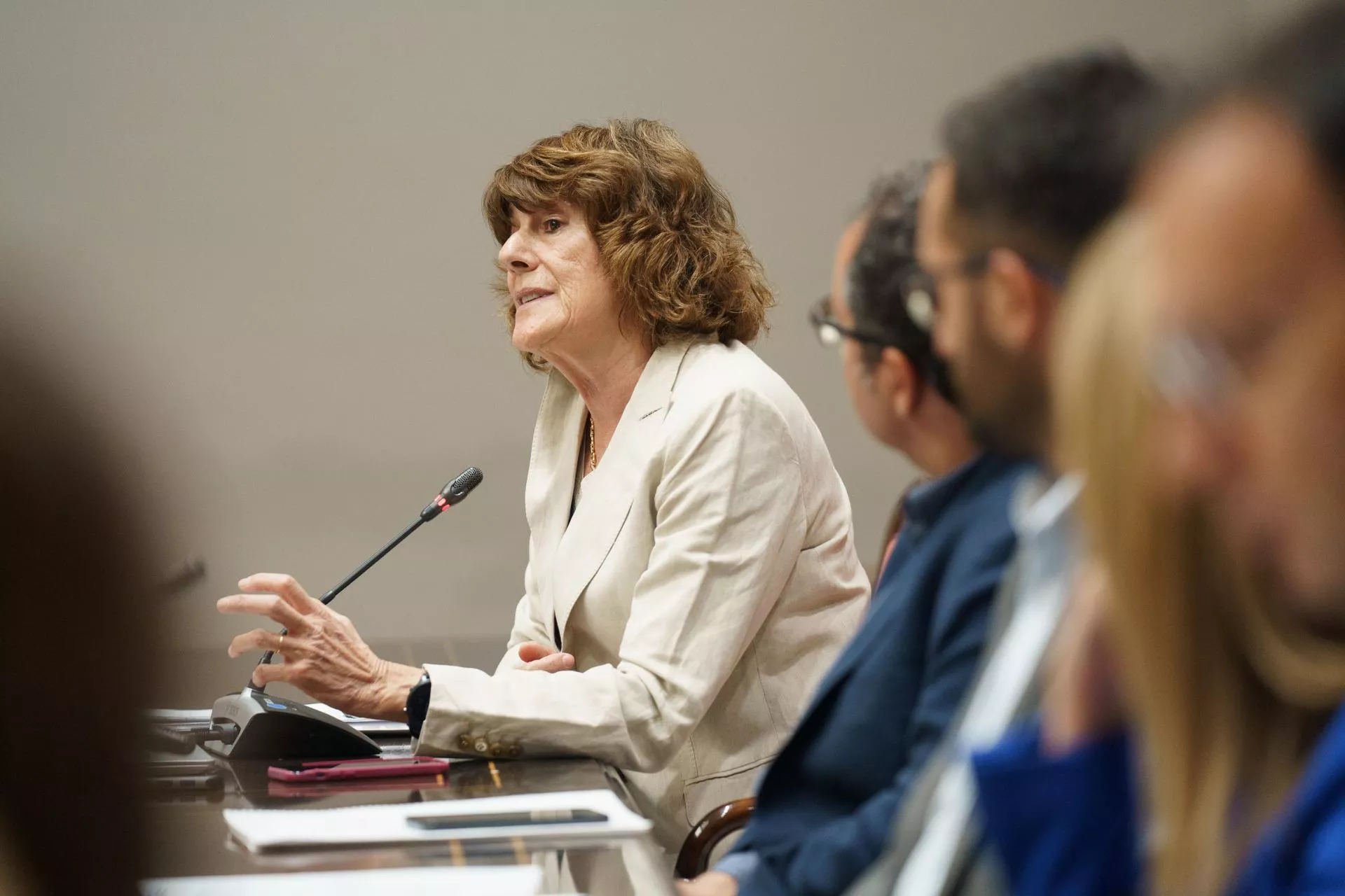 La experta en Economía de la Salud de la Universidad de Las Palmas de Gran Canaria, Beatriz González./ EFE - RAMÓN DE LA ROCHA