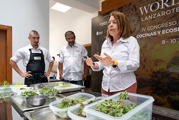 Instante de una de las ponencias que se sucedieron en Worldcanic 24./ CEDIDA