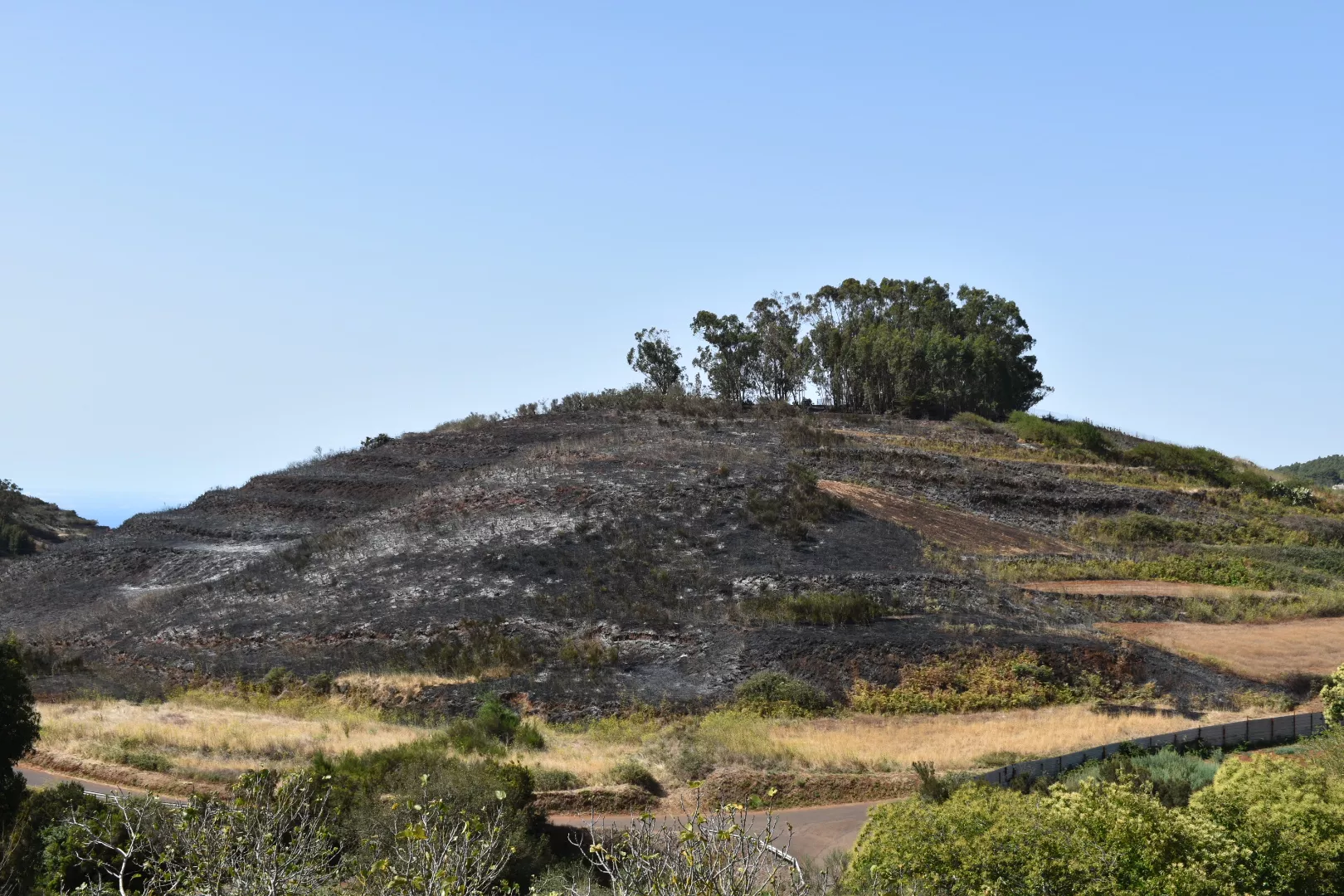 Uno de los incendios ocurridos este domingo en El Rosario. / AYUNTAMIENTO DE EL ROSARIO