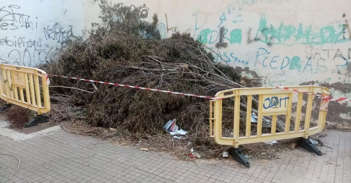Ramas de árboles retirados por el Ayuntamiento de Santa Cruz de Tenerife / LOS ÁRBOLES HABLAN