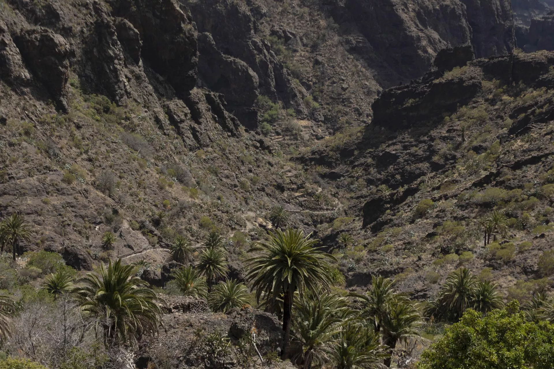 Imágenes de la zona de Masca, en el municipio tinerfeño de Buenavista del Norte, donde han hallado un cuerpo que podría ser de Jay Slater. EFE/MIGUEL BARRETO