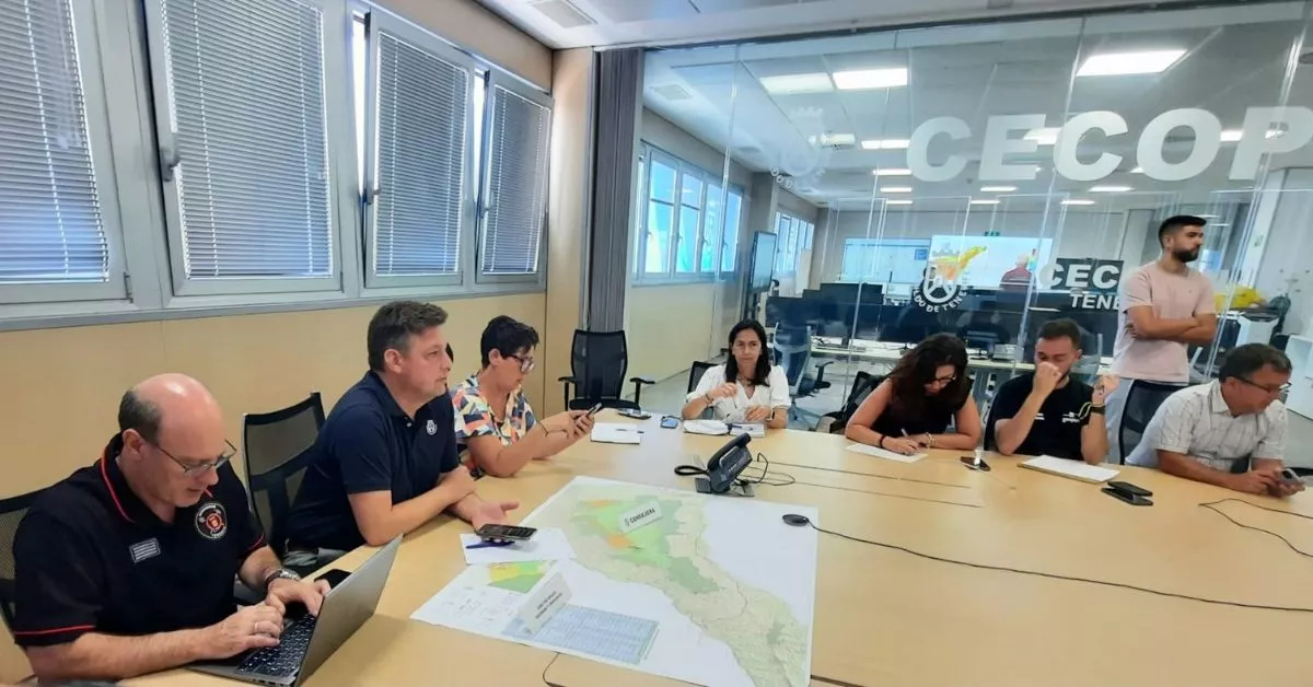 El Cabildo de Tenerife y los ayuntamientos de la isla reunidos / CEDIDA