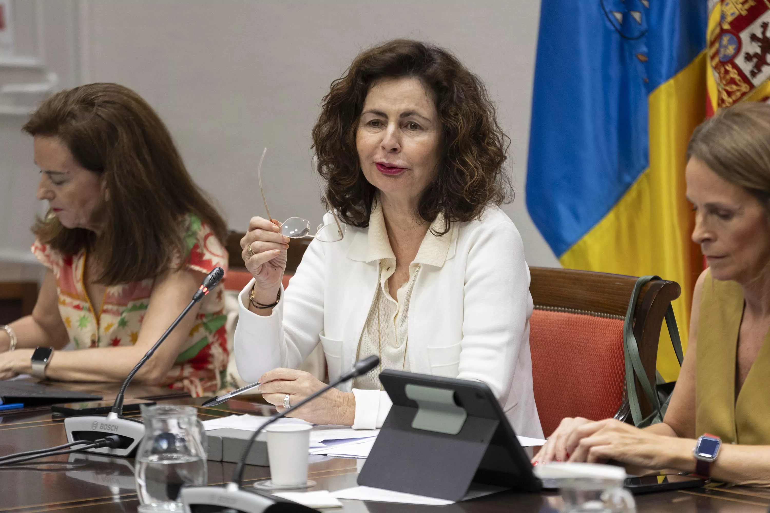 La consejera de Hacienda y Relaciones con la Unión Europea, Matilde Asián, conversa con el diputado del grupo Vox, Javier Nieto, durante la comisión parlamentaria. EFE/MIGUEL BARRETO