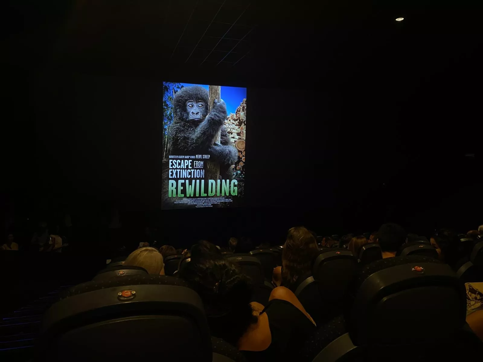 Instantes antes de la proyección del documental 'Escape From Extinction Rewilding' en Tenerife. / ATLÁNTICO HOY - ALBA MARICHAL Instantes antes de la proyección del documental 'Escape From Extinction Rewilding' en Tenerife. / ATLÁNTICO HOY - ALBA MARICHAL