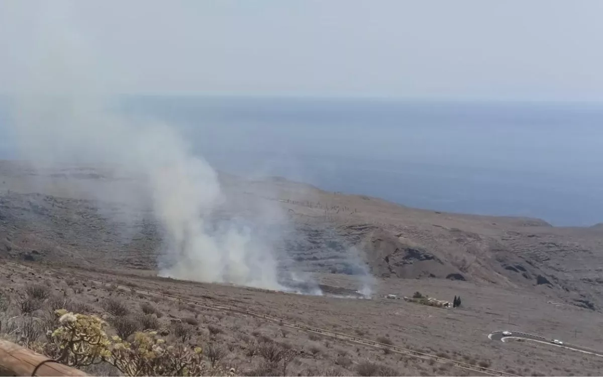 Zona en Arguayoda afectada por el incendio. / CABILDO DE LA GOMERA