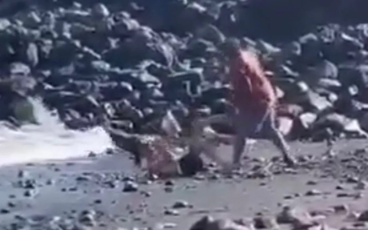 Un turista agrede al ladrón que intentó robarle la cartera en Granadilla. / AH