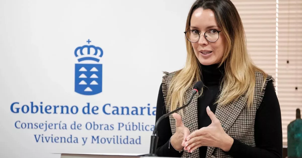 María Fernández, directora general de Transporte del Gobierno de Canarias / EFE