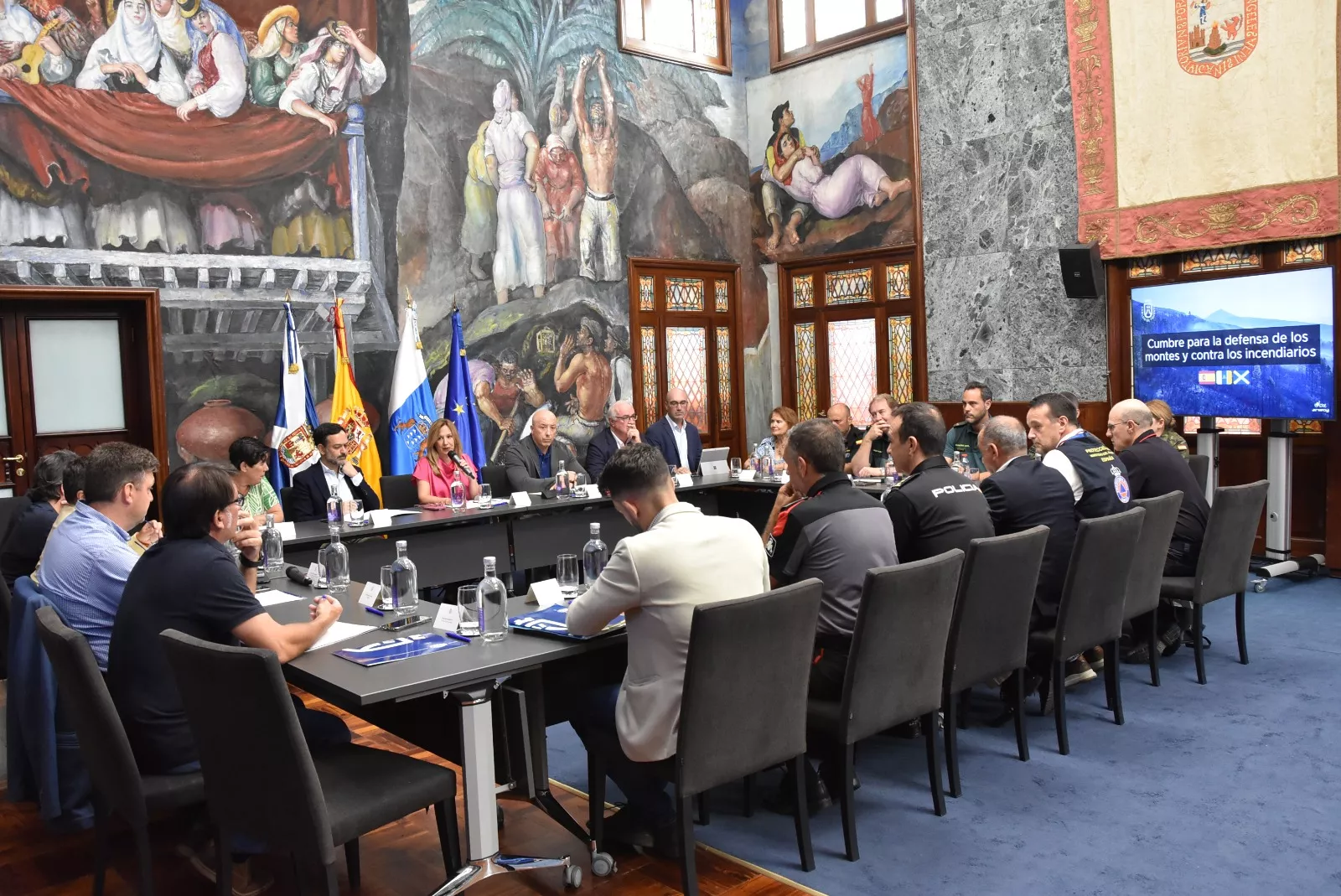 Cumbre histórica del Cabildo de Tenerife en defensa de los montes de la Isla. / CABILDO DE TENERIFE