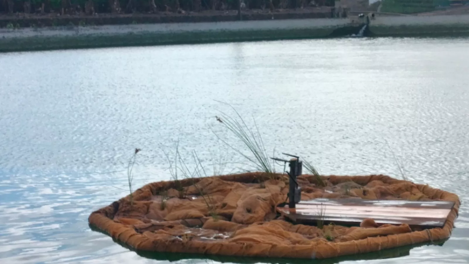 Imagen del proyecto Microislas en la isla de Gran Canaria. / CEDIDA