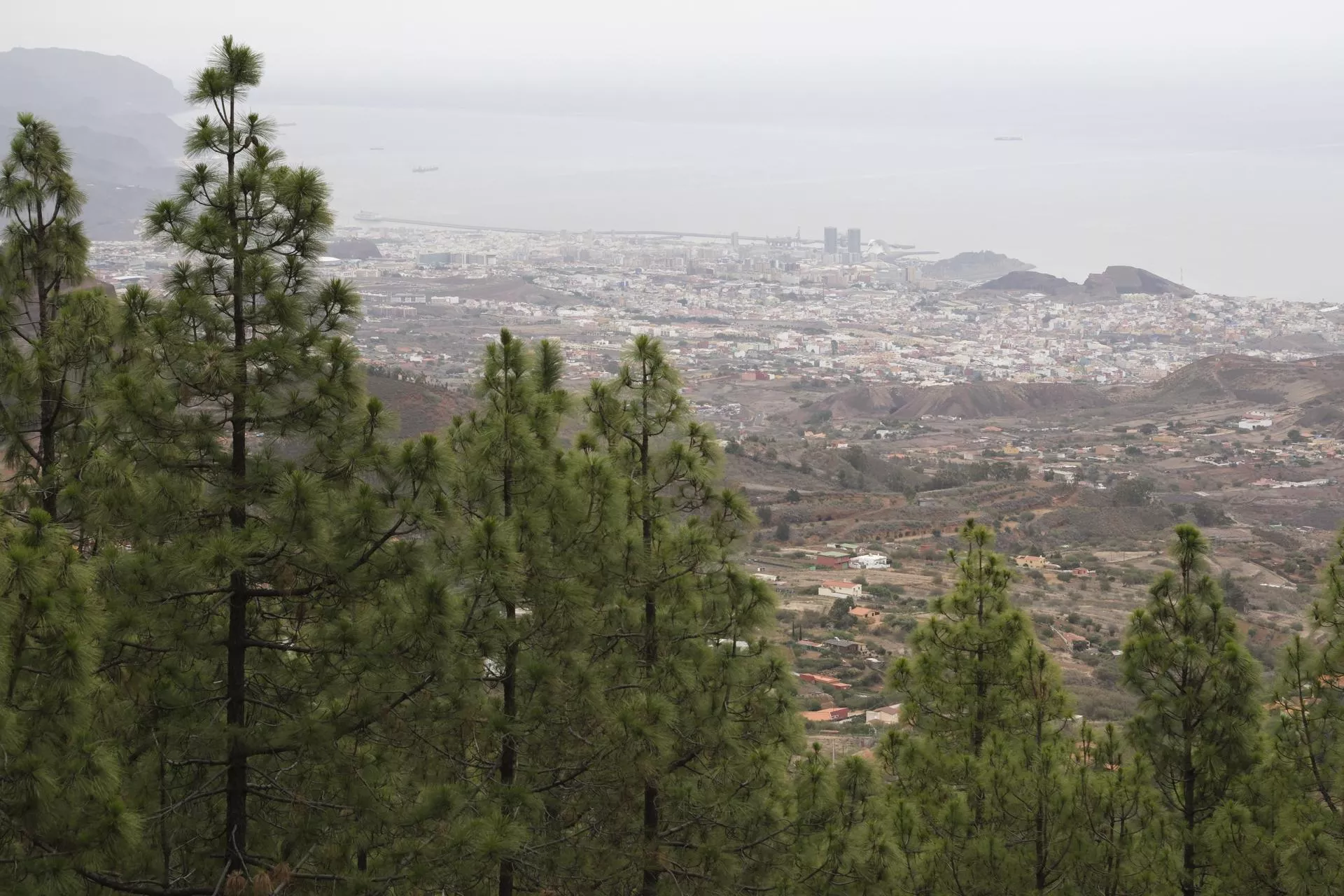 Vistas de la ciudad de Santa Cruz de Tenerife desde el monte de la Esperanza, paisaje de una isla de Canarias / EFE - ALBERTO VALDÉS