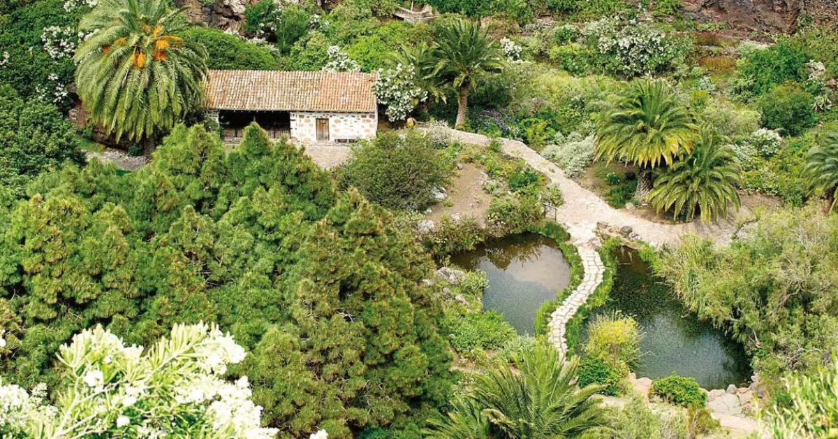 El histórico jardín de Canarias con cascada que se puede visitar gratis: entre los mejores del mundo