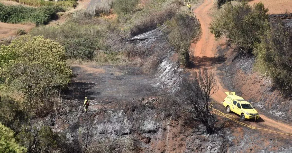 Una zona afectada por incendios / EFE