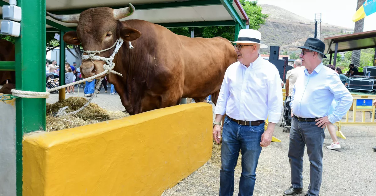 Antonio Morales y Miguel Hidalgo / CABILDO DE GRAN CANARIA