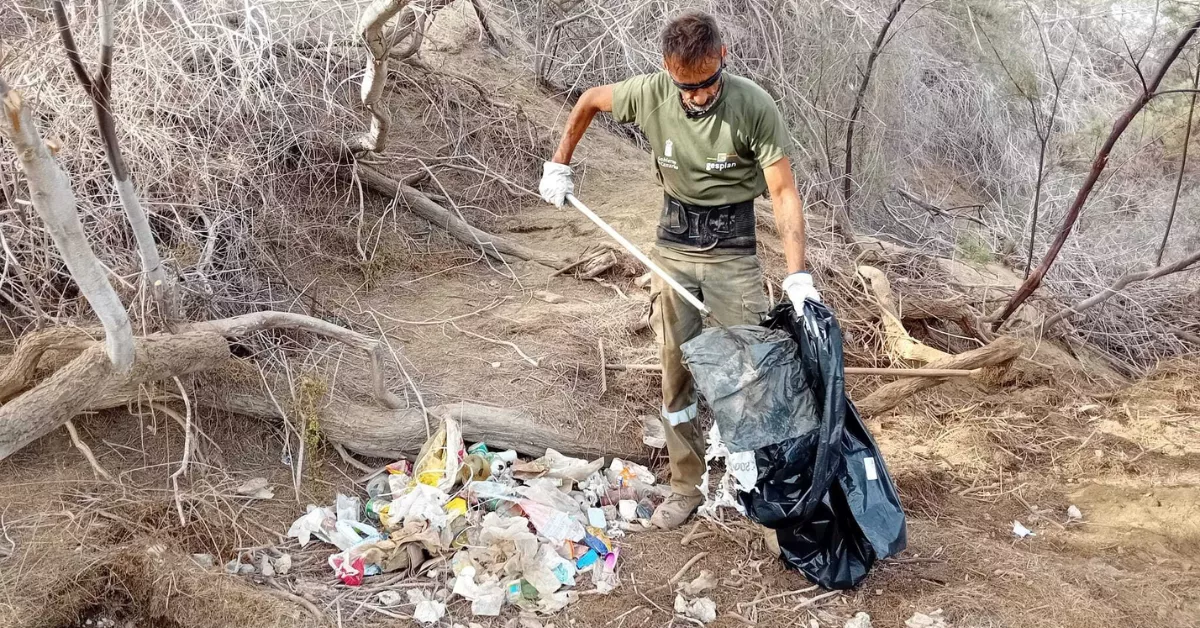 Limpieza del entorno de las Dunas / CABILDO DE GRAN CANARIA